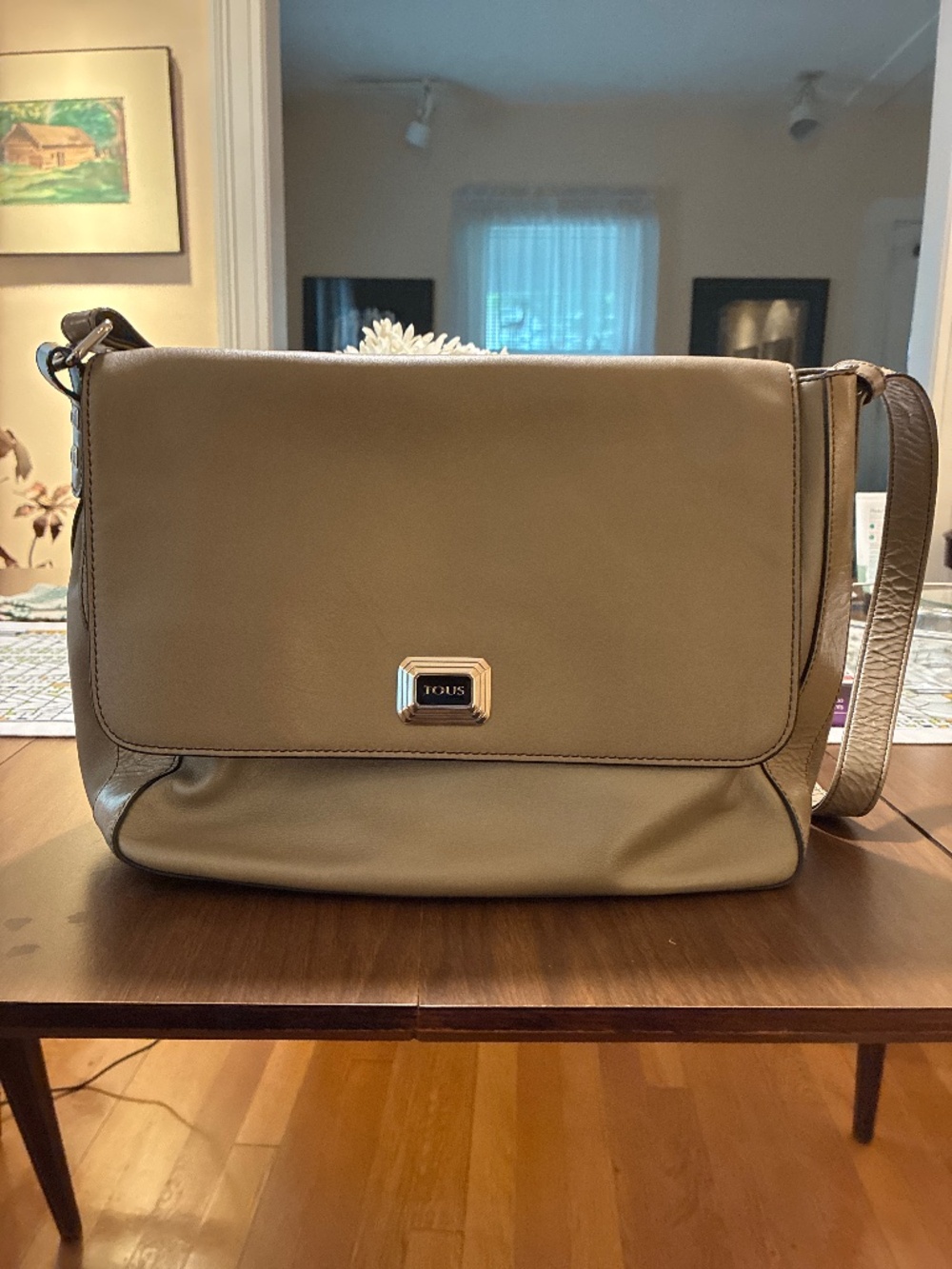 Tous Shoulder Bags/Bags for Women